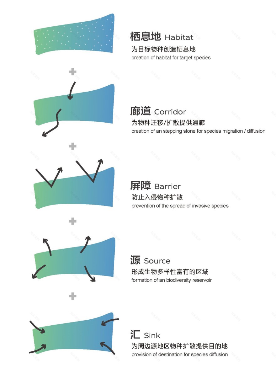 深圳红树林湿地博物馆方案设计及建筑与景观专业初步设计·红树十二境丨中国深圳-23