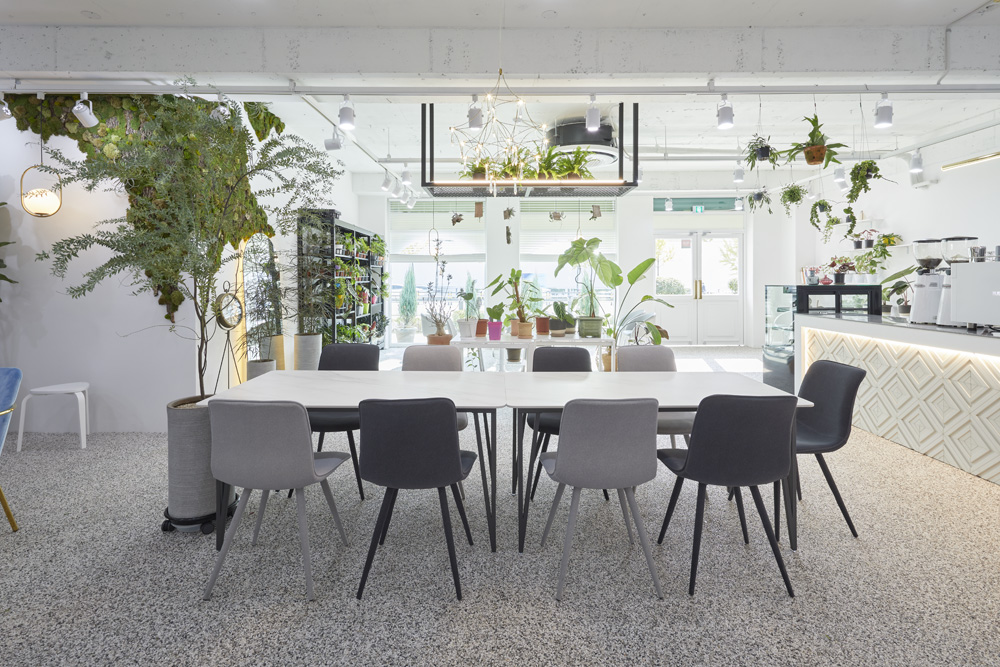 现代植物咖啡厅，30 平米空间里的绿色美学-13