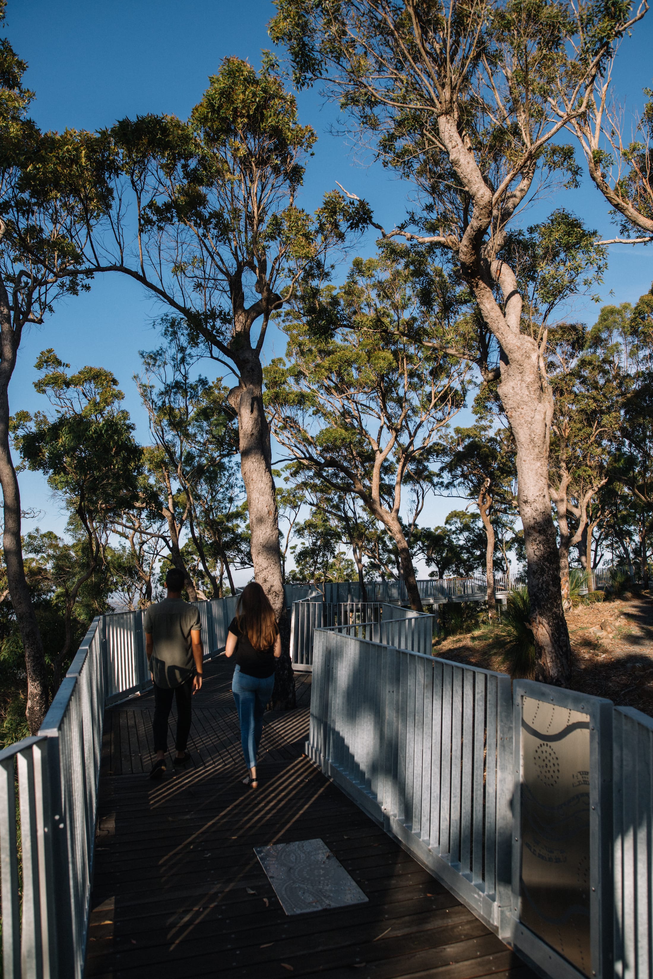 凌于树梢的观景栈道-21