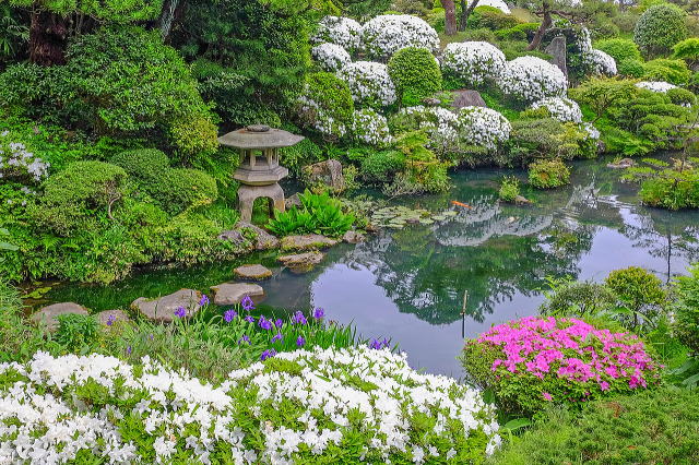 本间美术馆（鹤舞园）-36