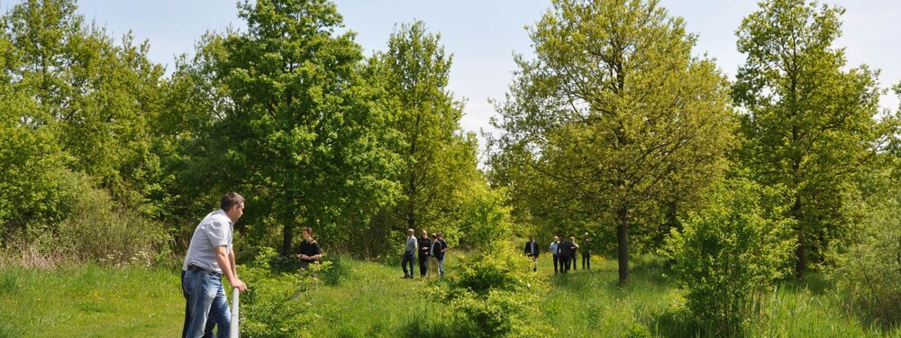 Prins Bernhardbos  种植方法研究丨荷兰-24