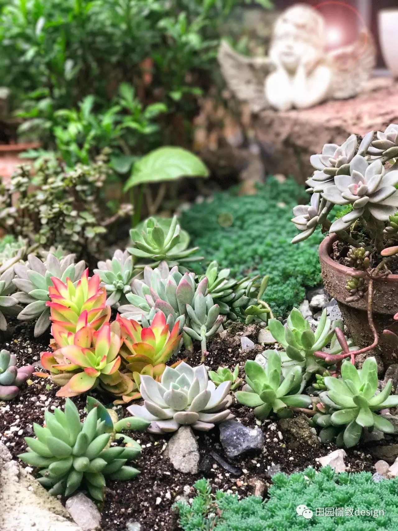 德阳凯丽景湖 130 平米美式田园旧房改造，女神的私密花园-20