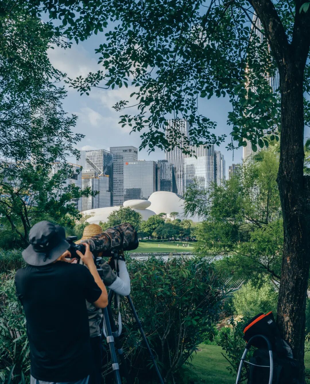 马岩松MAD即将完工新作！深圳湾文化广场，下一个城市地标预定？网友：又是羡慕深圳人的一天-66