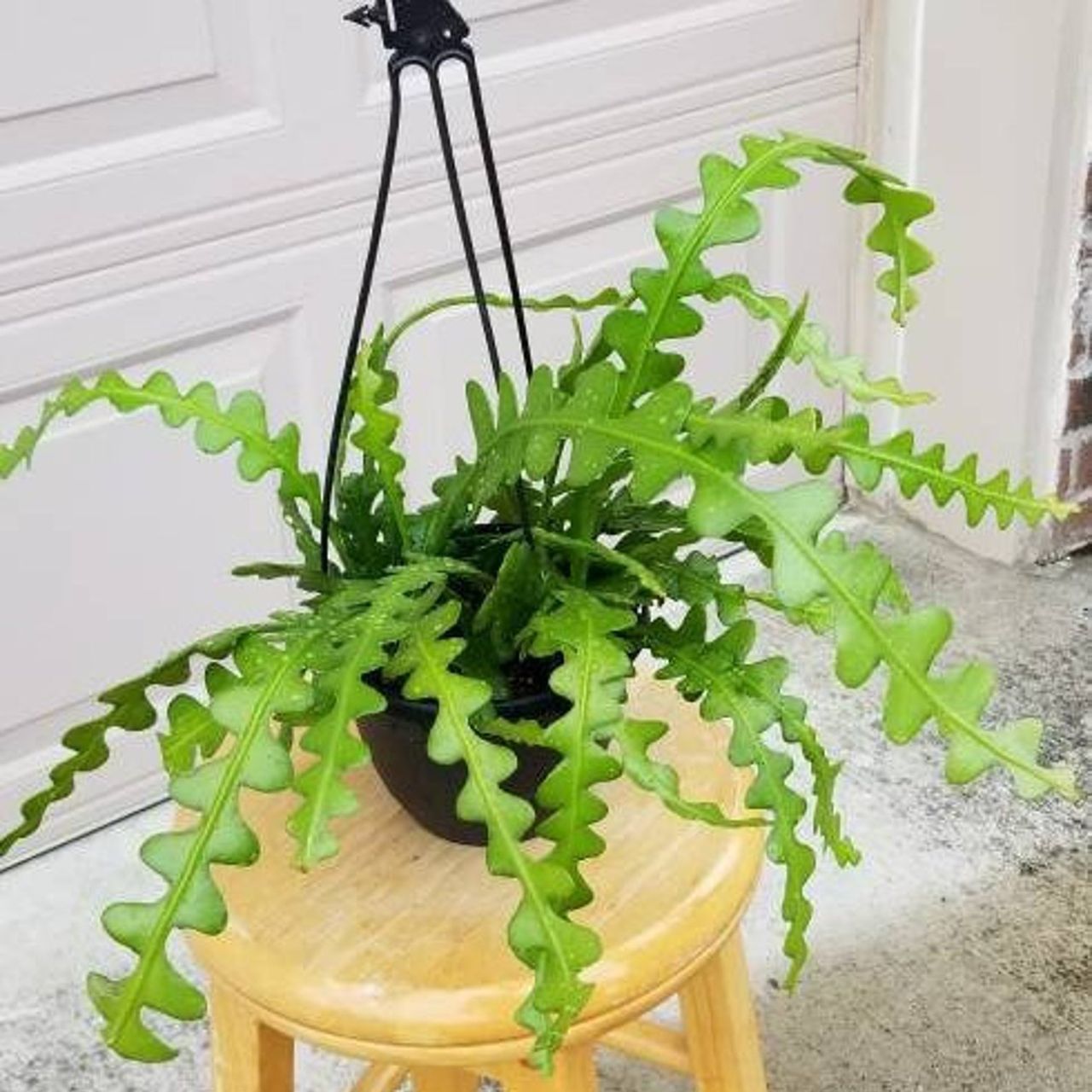 曼哈顿70平米艺术情侣公寓丨美国曼哈顿-74