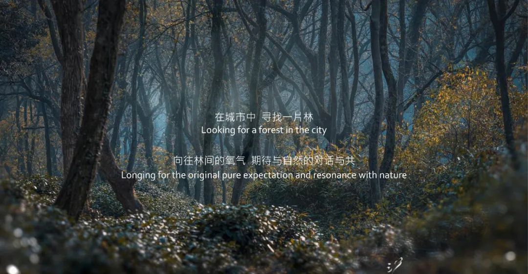 杭州大华潮悦前城 | 诗意森居，富氧之林-16