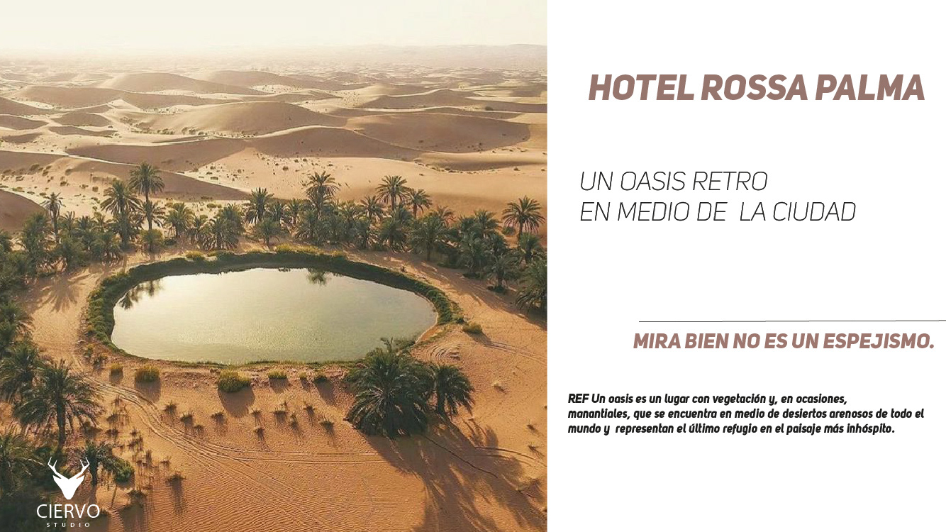 Rossa Palma 酒店项目丨美国圣安东尼奥-68