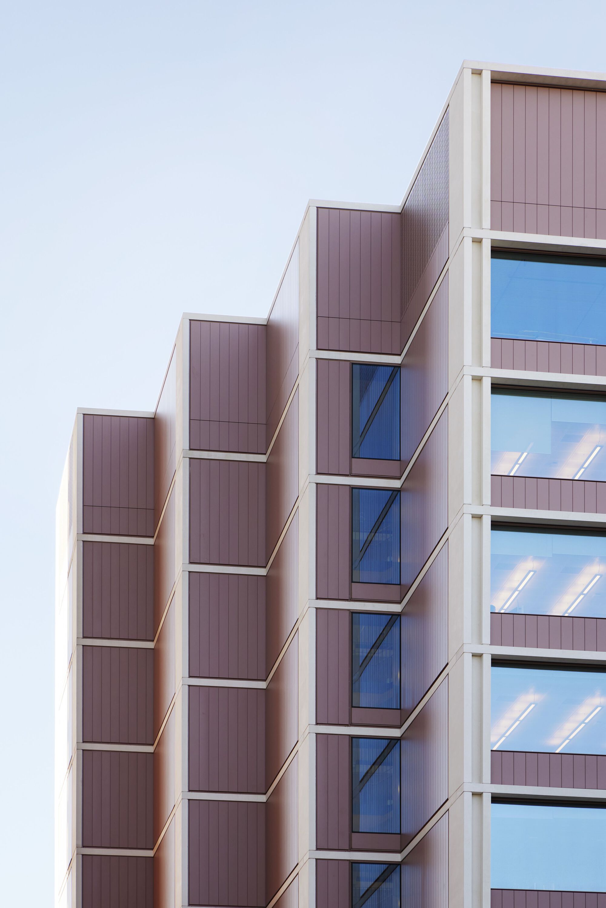 帝国理工学院公共卫生学院丨英国丨Allies and Morrison-7