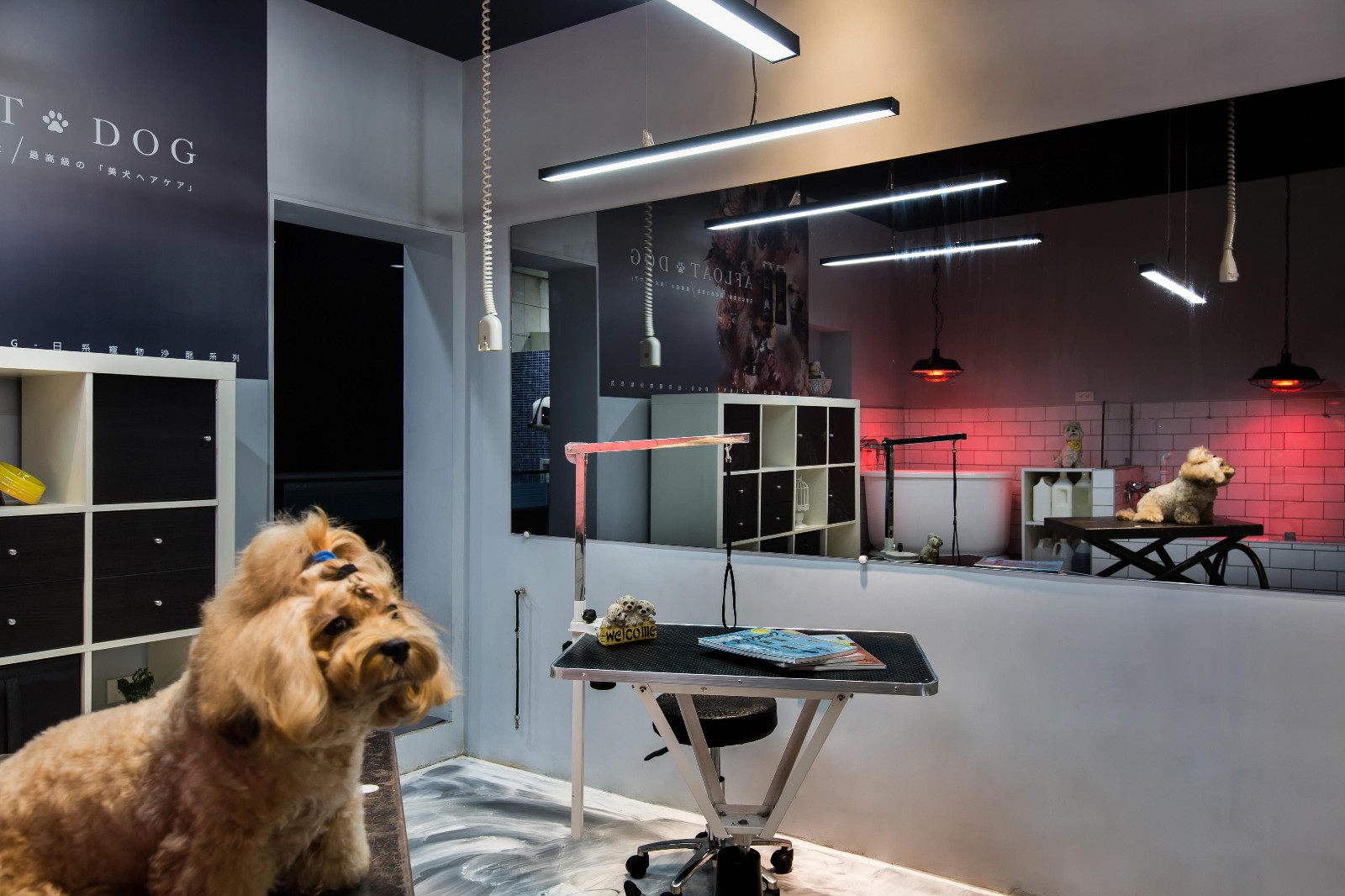 灰 · 境  Mk空间设计-7