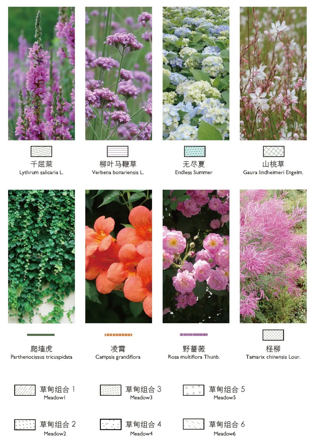 杨树浦六厂滨江公共空间更新·电站辅机厂东厂丨中国上海丨刘宇扬建筑事务所-175