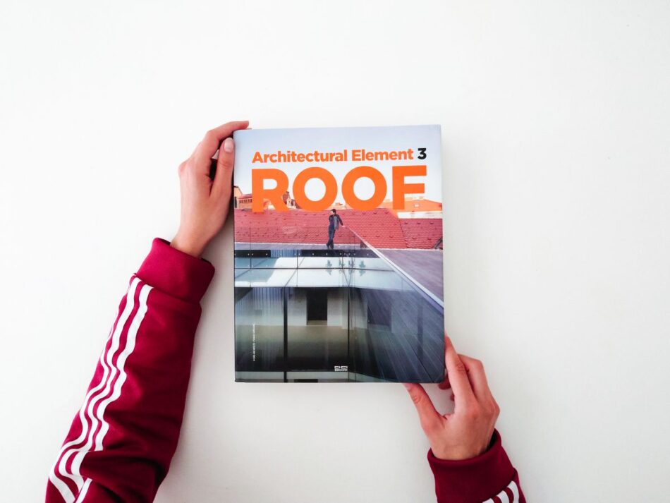 Architectural element 3: Roof - object-e.net-0