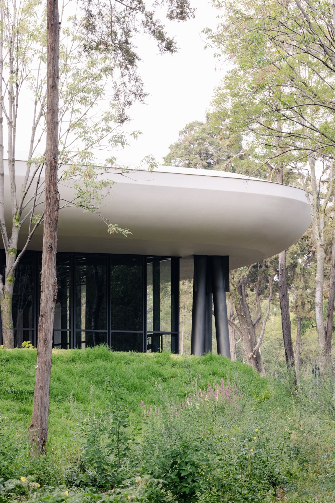 风景花园,墨西哥城丨墨西哥墨西哥城丨Michan Architecture,Parabase等多个团队-24