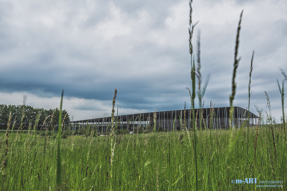 Stonehenge 游客中心——反重力设计的 8 米高顶棚-16