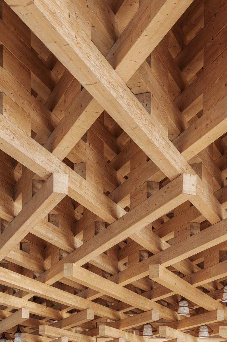 太原植物园丨中国太原-31