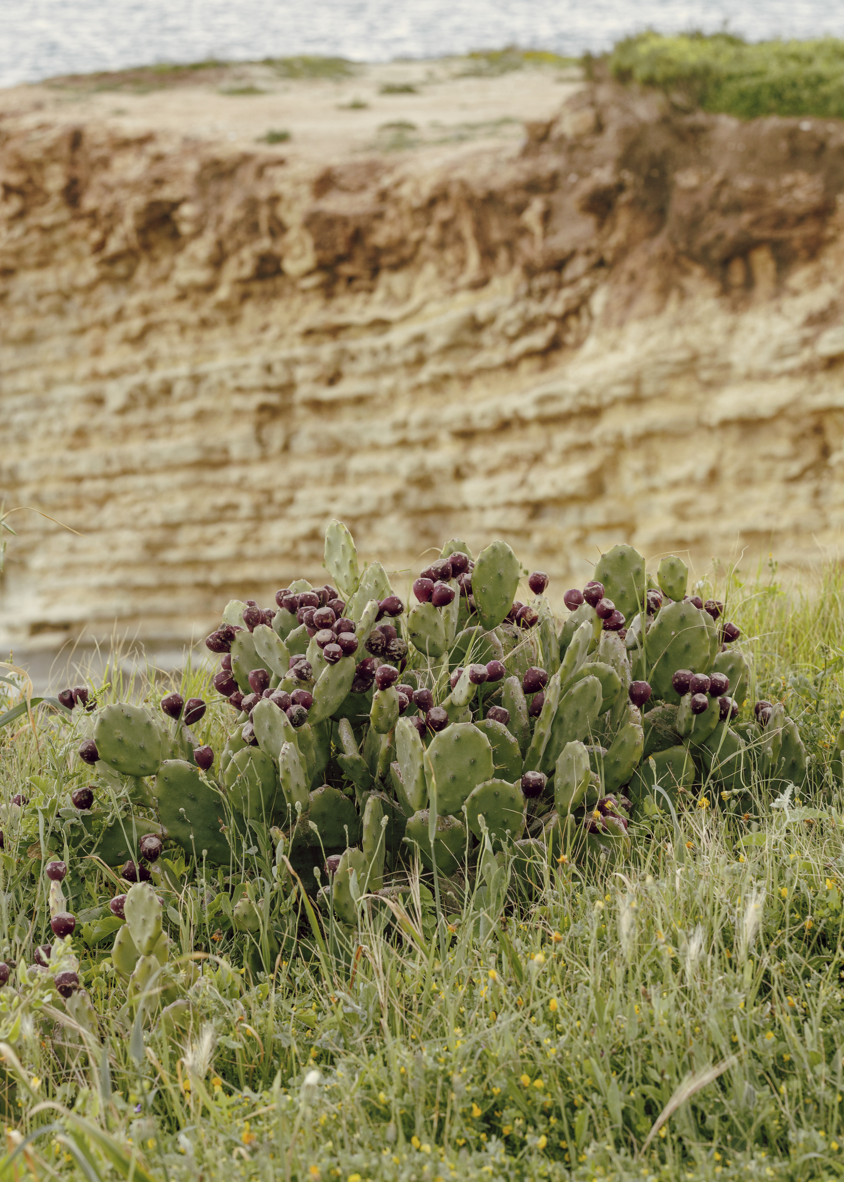 内敛且神秘的乡土简约度假屋PATIO HOUSE丨SOLUM studio （Mattia Agates等）-42