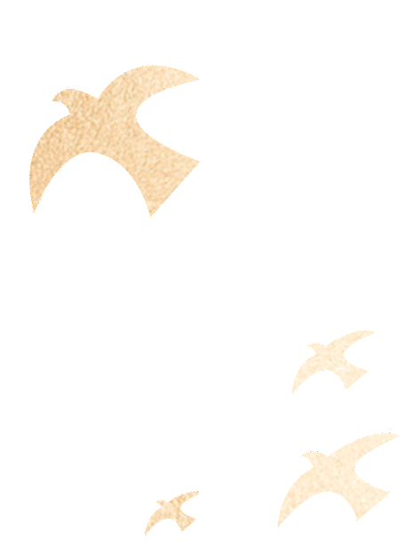 1.3亿!博大中标新疆克拉玛依市城南学校建设项目装饰及安装工程-26