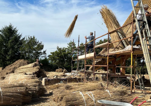 丨爱尔兰科克-36