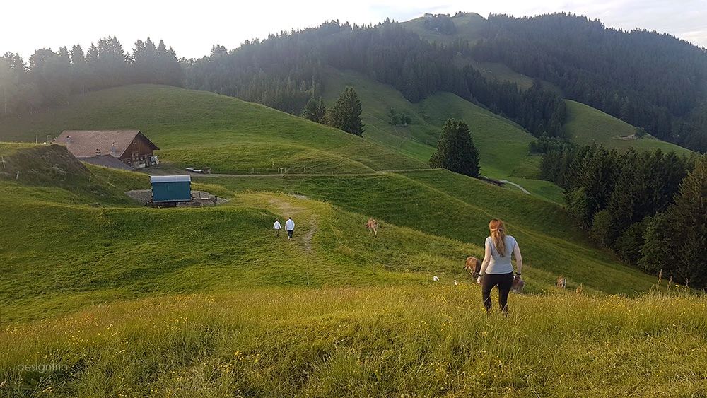 Null Stern酒店(星空酒店)-7