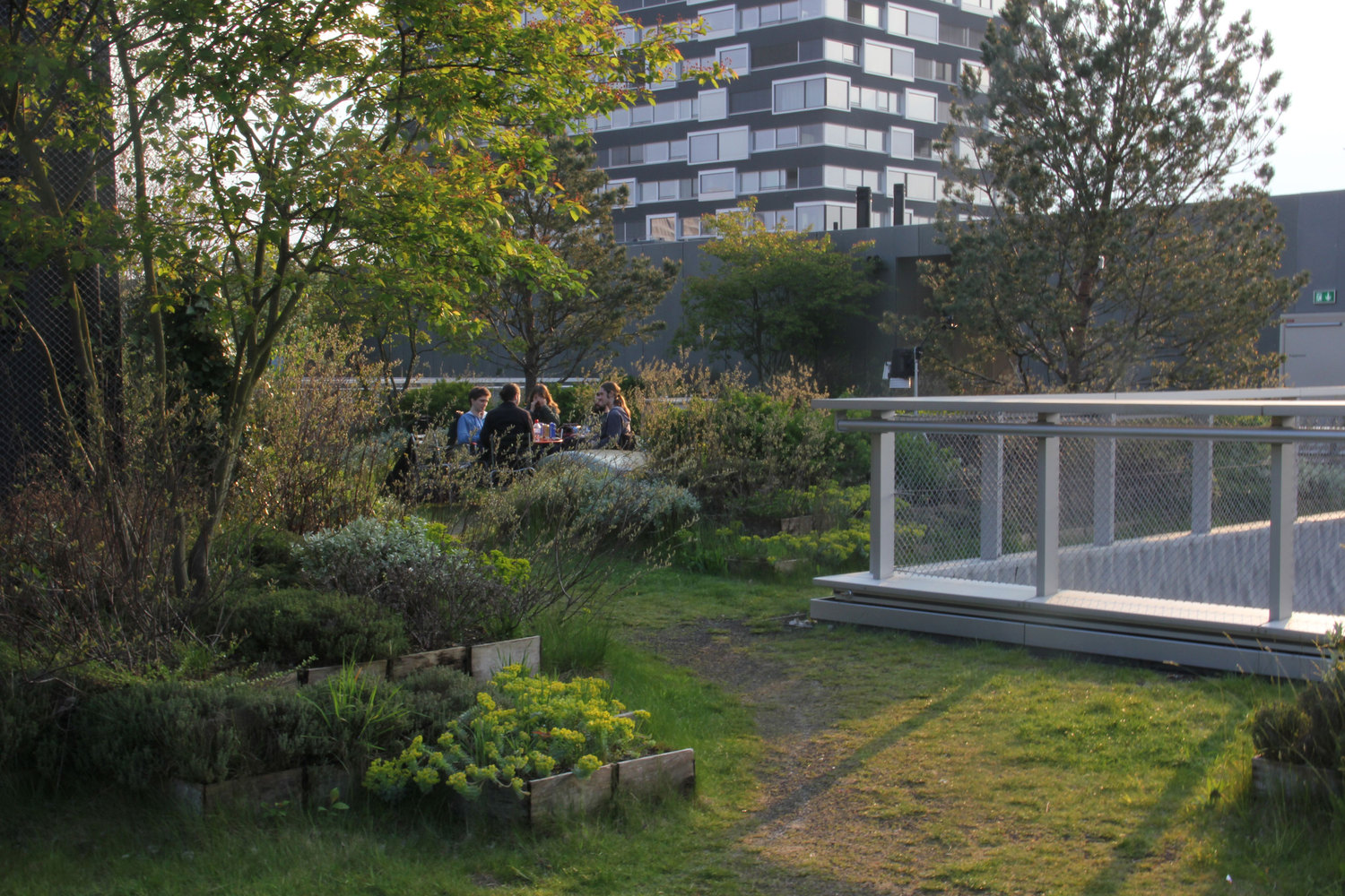 苏黎世艺术大学屋顶花园-28