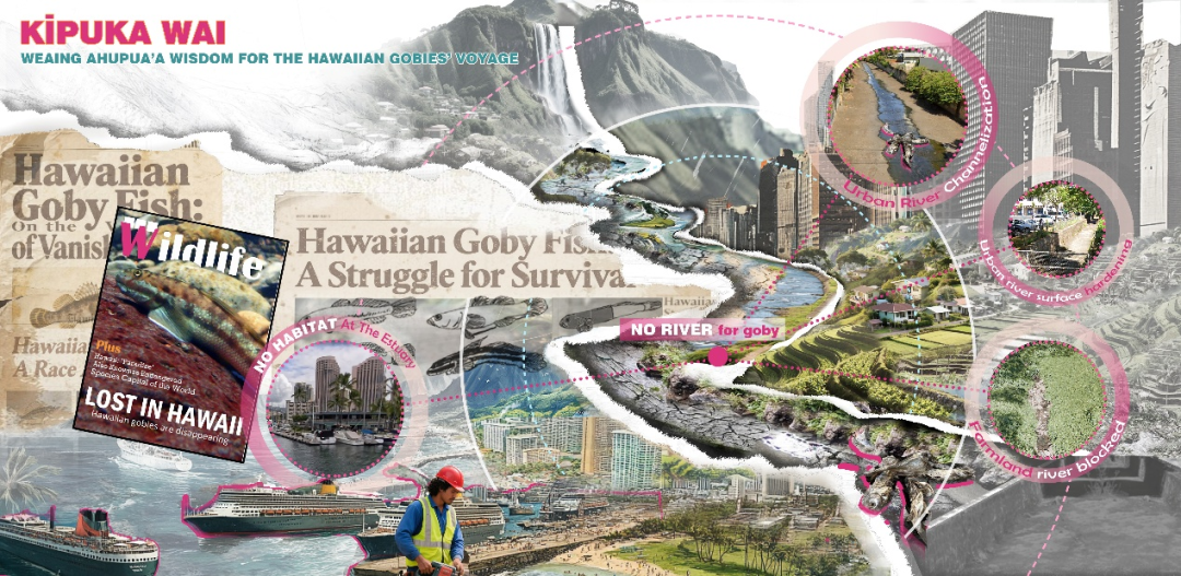 苏大风景园林研究生横扫2025ASLA三项大奖，6年11冠超越国际名校-86