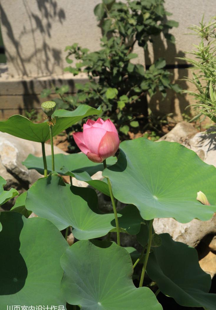 美式奢华 House 的优雅复古情怀-38