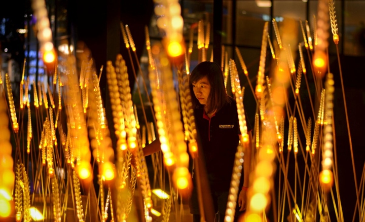 Royal Rice Field（皇家稻田）丨泰国曼谷丨Apostrophy’s工程设计工作室-14