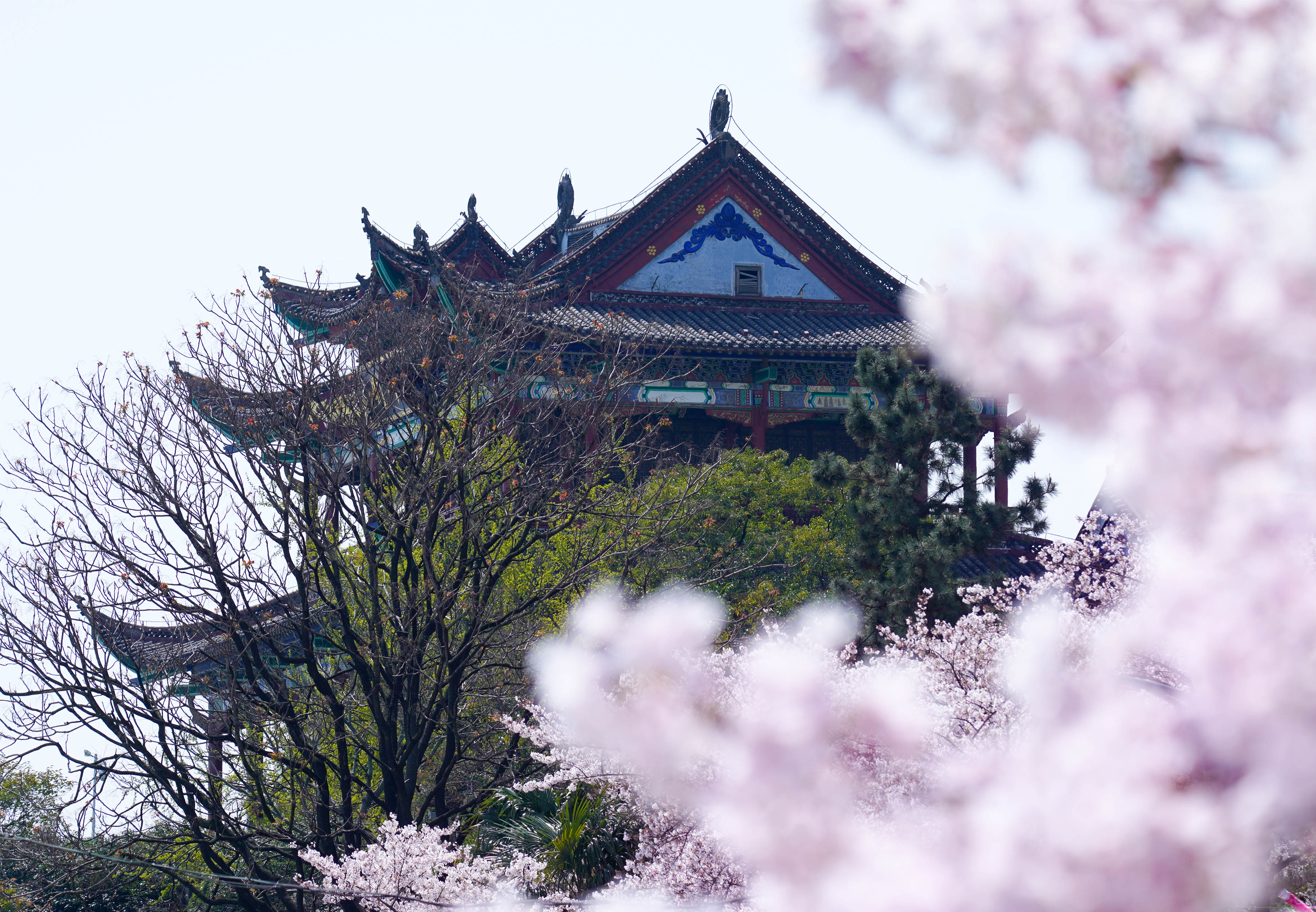 春日闺蜜的樱花古风之旅 · 奥利奥晴川阁艺术展丨中国武汉丨天与空,不是美术馆-10