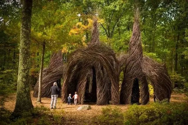 森林幻想家 | Patrick Dougherty 的树枝艺术-42