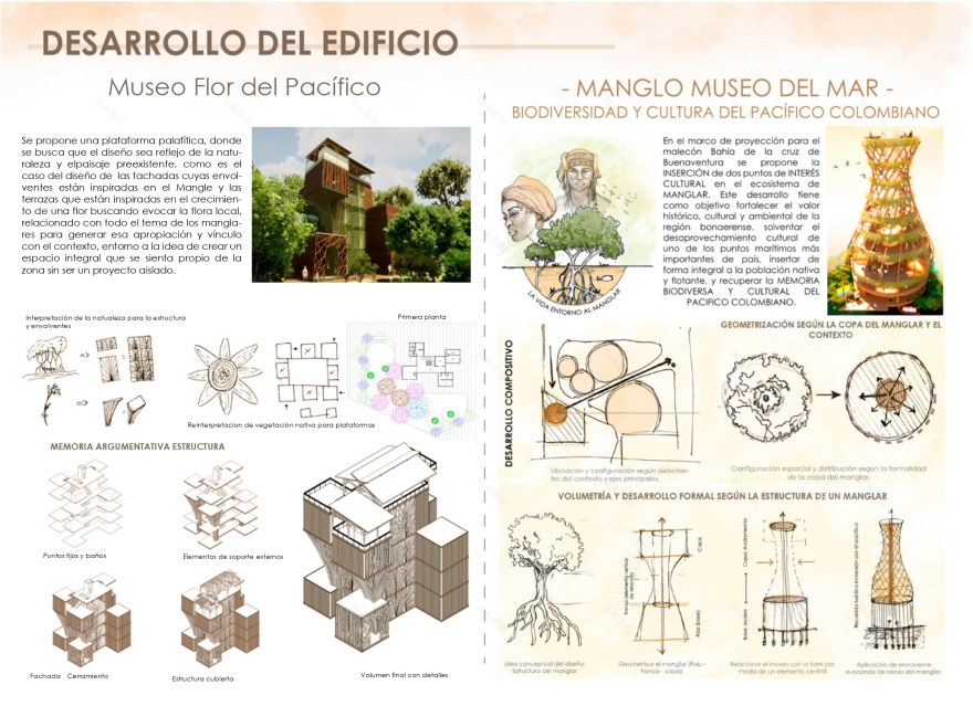 植物建筑学作品集-12