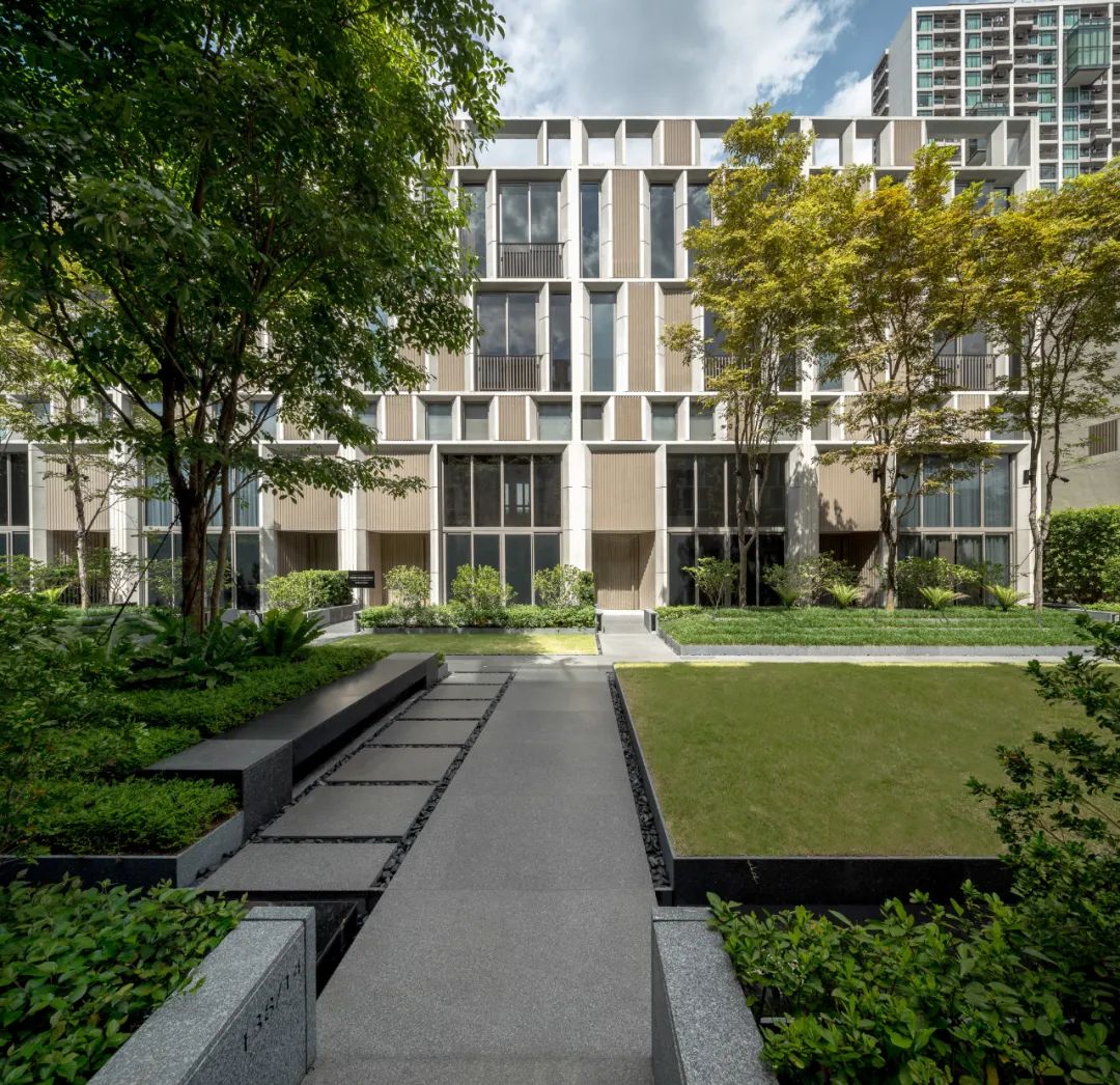 曼谷 Quarter 39 别墅景观 | 阶梯植栽与历史古树共生的绿色家园-10