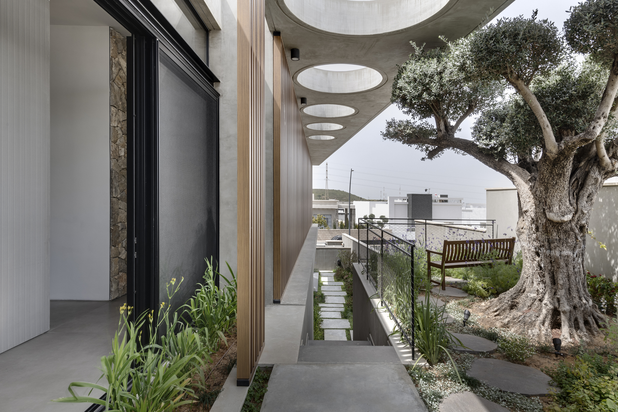 莱德豪斯丨以色列丨Dan and Hila Israelevitz Architects-47