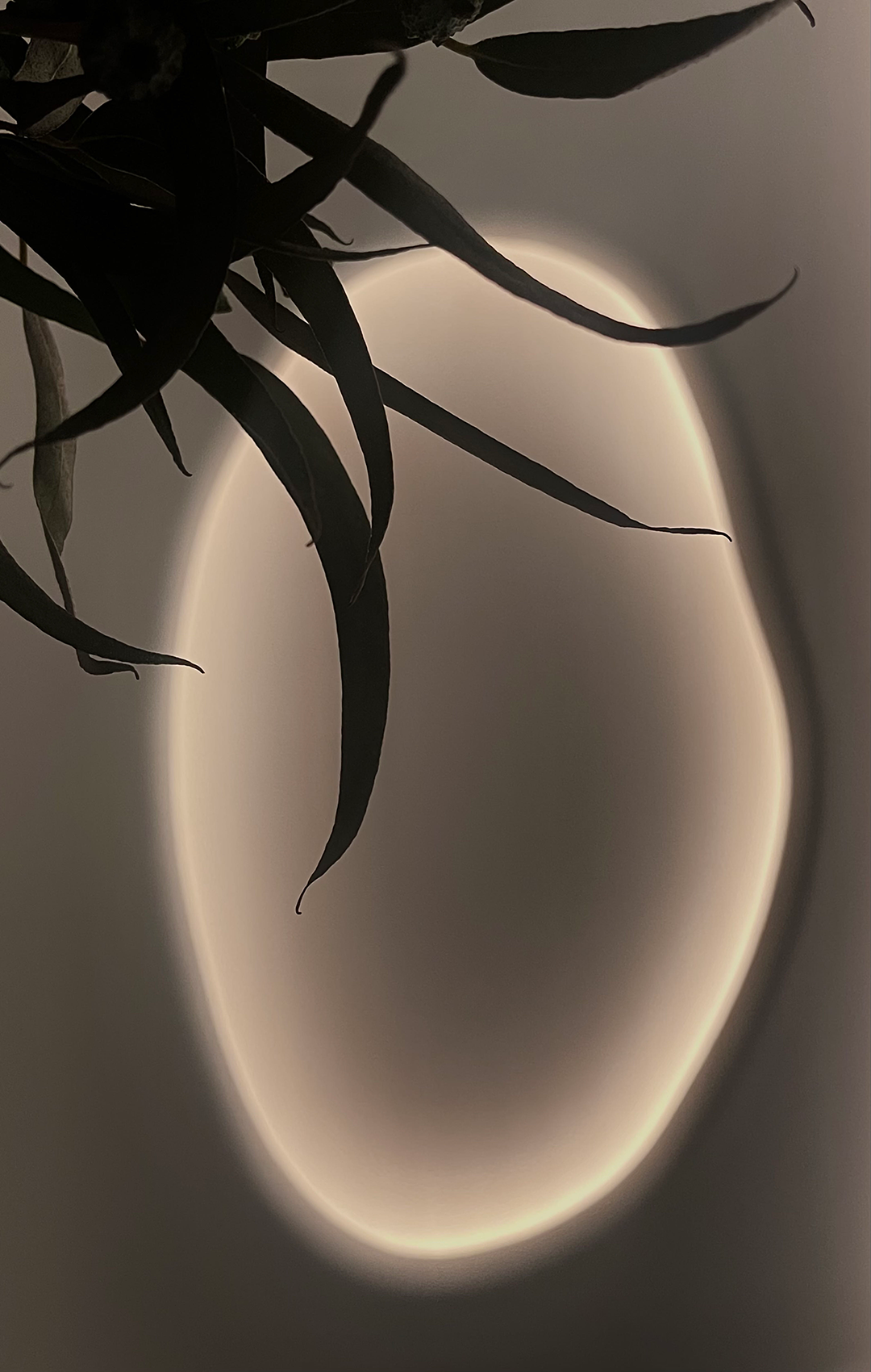 东南智汇城丨中国河北丨金舍装饰-81