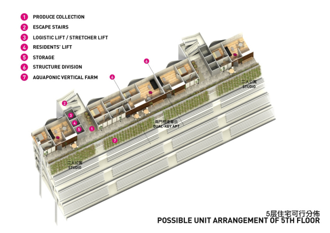 Homefarm 养老住宅综合体丨新加坡丨SPARK Architects-41