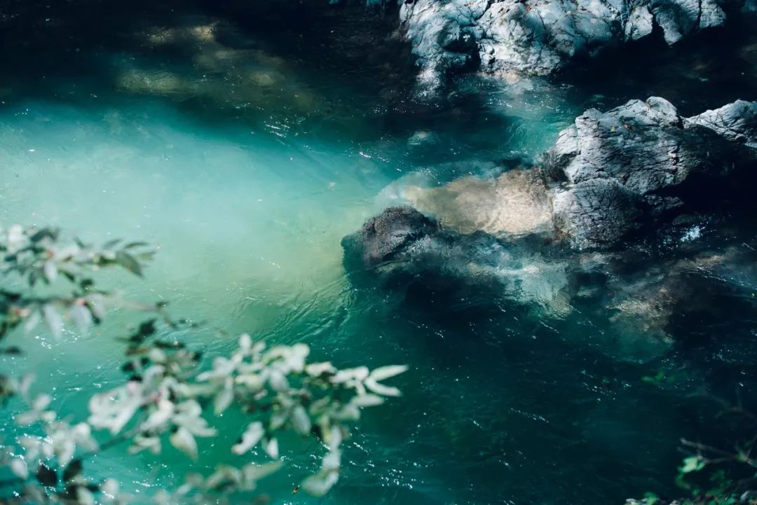 Setouchi Cominca Stay · 传统与现代的日本民宿丨Katsumi yamashita,Shiro miura-2