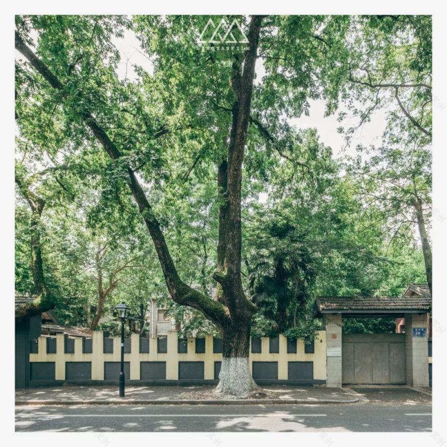 南京老城区建筑风情录 | 穿越时空的民国韵味-105