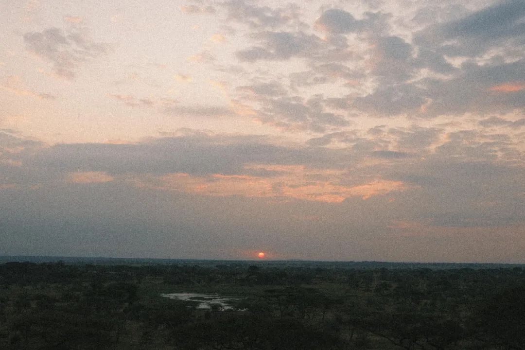 非洲考察1|初抵塞伦盖蒂-78