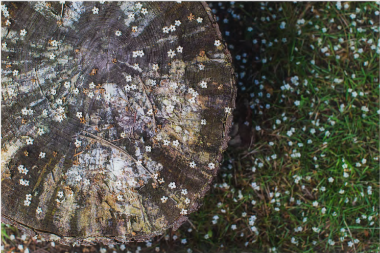 丹麦海滩附近经典凉亭的改造  RUM4-17