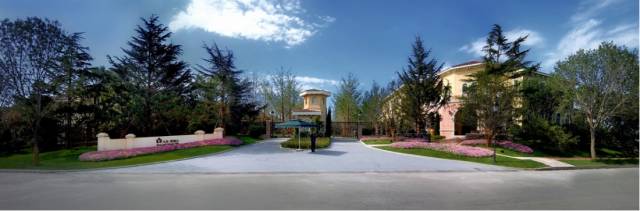 绿化设计中的地被放线手法与植物配置-89