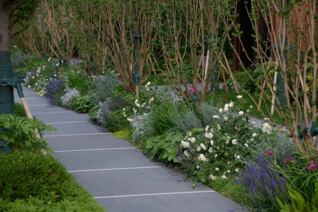 上海金地·虹桥峯汇丨中国上海丨景观设计为上海朗道景观规划设计有限公司等-40