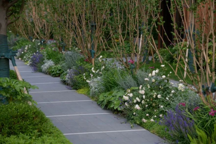 上海金地·虹桥峯汇丨中国上海丨景观设计为上海朗道景观规划设计有限公司等-40