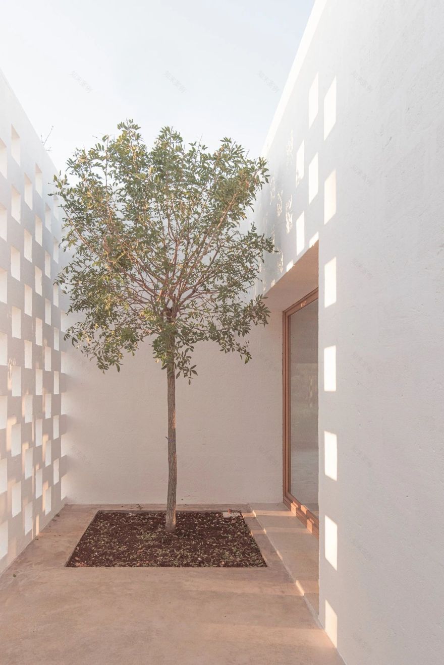 Casanguilla 设计丨意大利丨Quarzo Studio-39