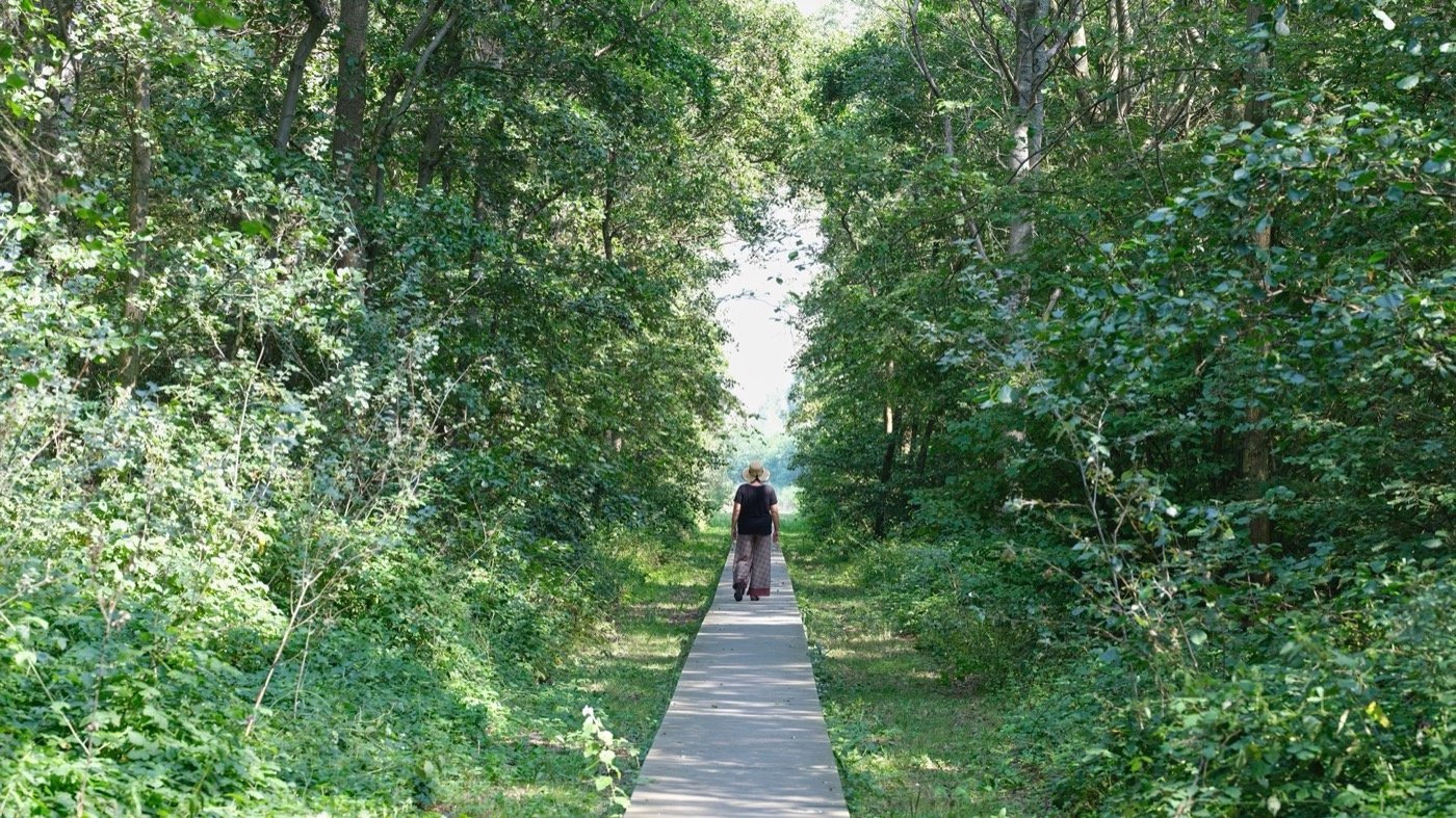 荷兰 Punt Ouddorp 自然和娱乐区丨BoschSlabbers-14