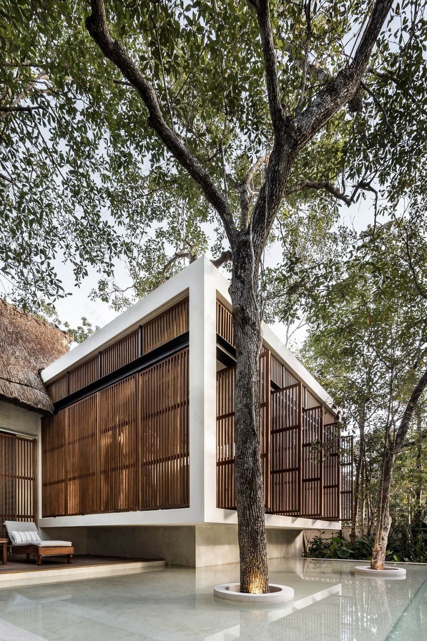 Jungle Keva 精品生态豪华酒店丨墨西哥丨Jaque Studio-14