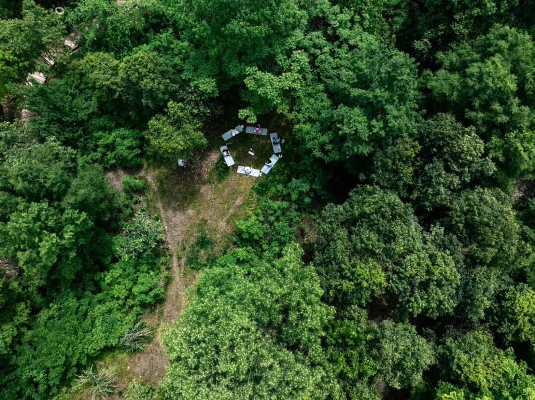 城市掌心的生态山野——麓野公园-296