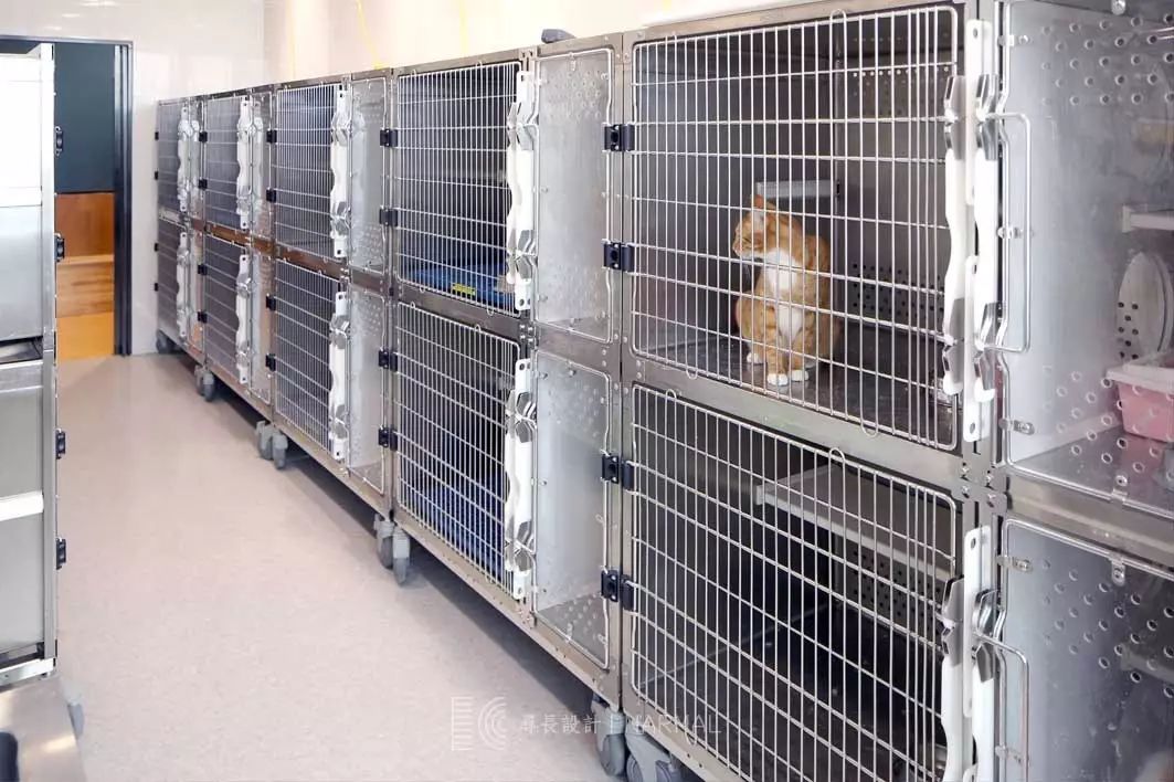 寻长·作品 | 萌宠看病记-73