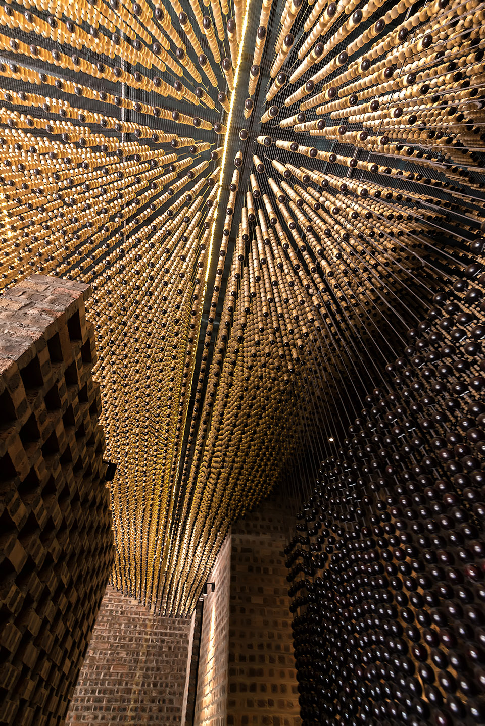 Mành Mành沙龙,越南 / H&P Architects-29