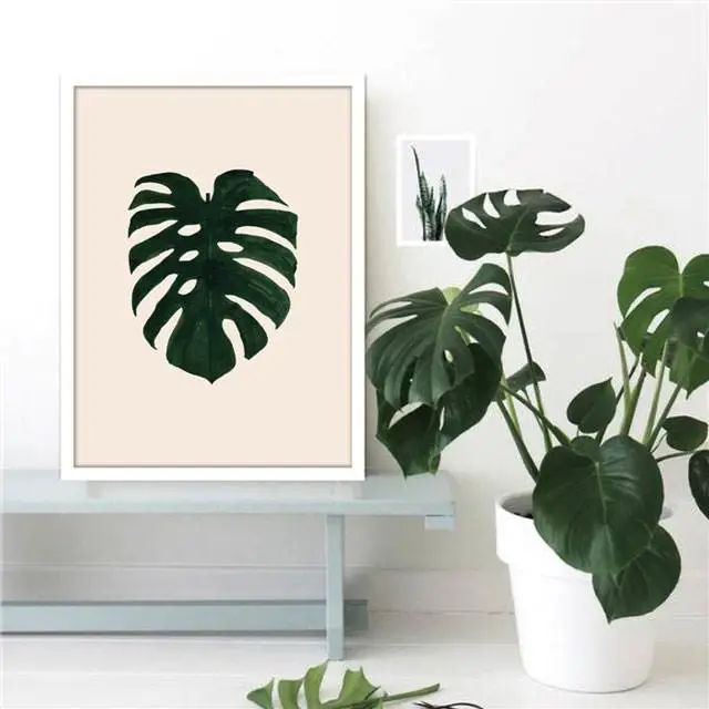 绿植搭配室内设计，打造自然家居之美-21