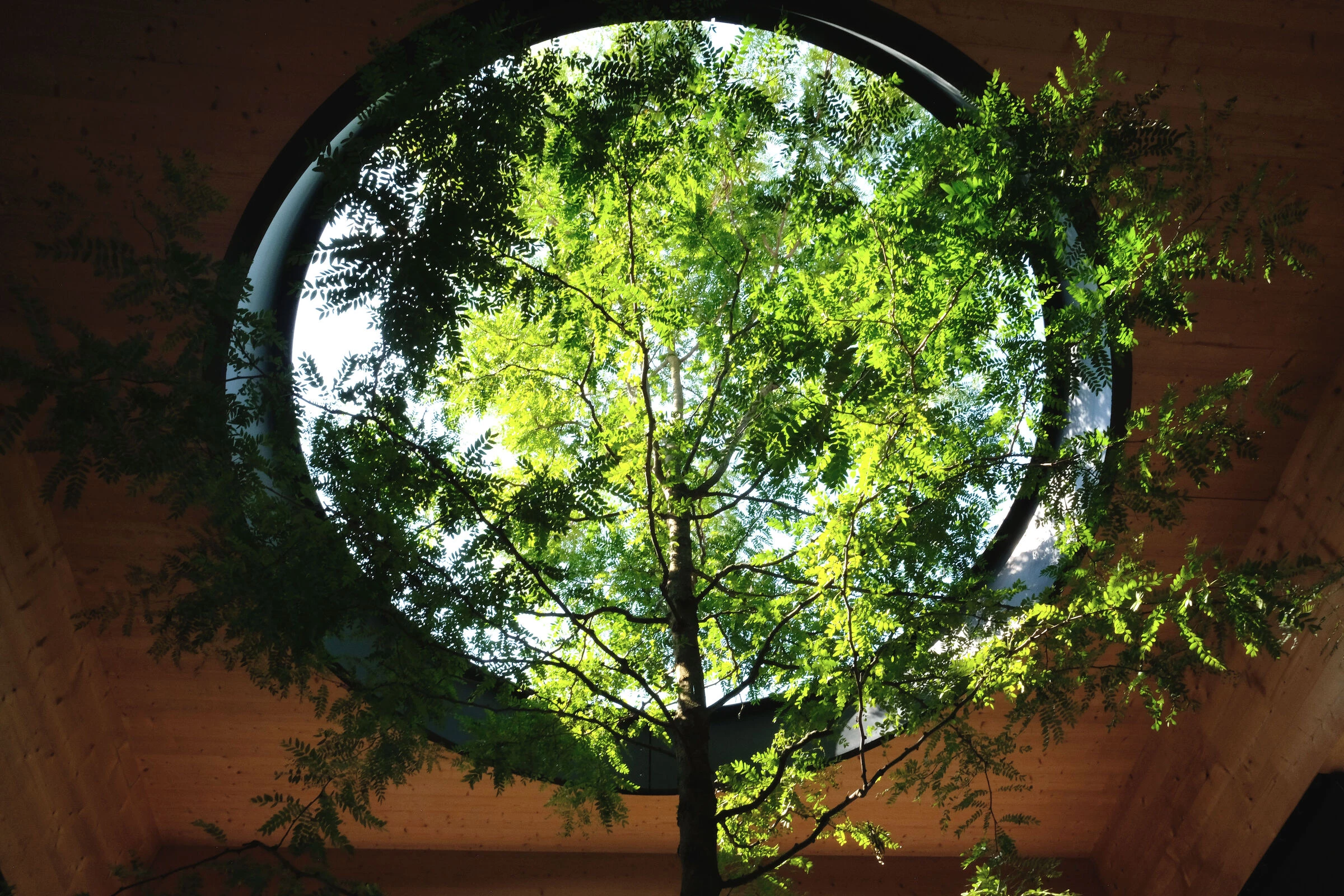 Gymnasium Neubiberg 中学扩建丨德国丨Peck.Daam Architekten-14