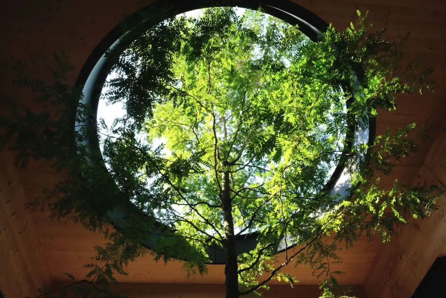 Gymnasium Neubiberg 中学扩建丨德国丨Peck.Daam Architekten-14