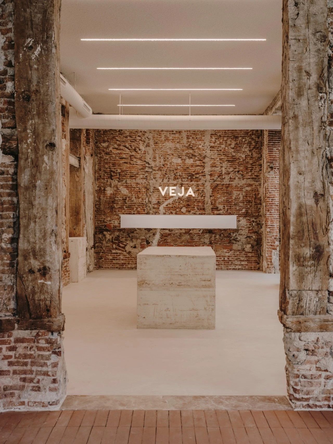 PLANTEA｜新的生命力-39