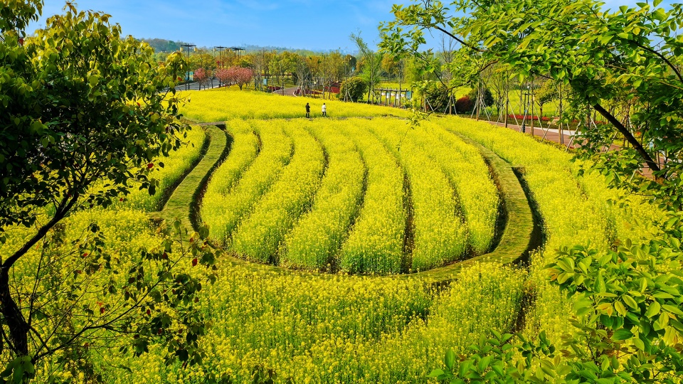 金华湖海塘公园复耕改造工程丨中国金华丨中交第四航务工程勘察设计院有限公司,上海赤地设计事务所-47